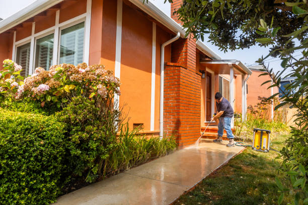 Best Roof Pressure Washing  in Malta, IL