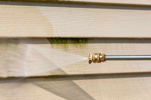 Best House Pressure Washing  in Malta, IL